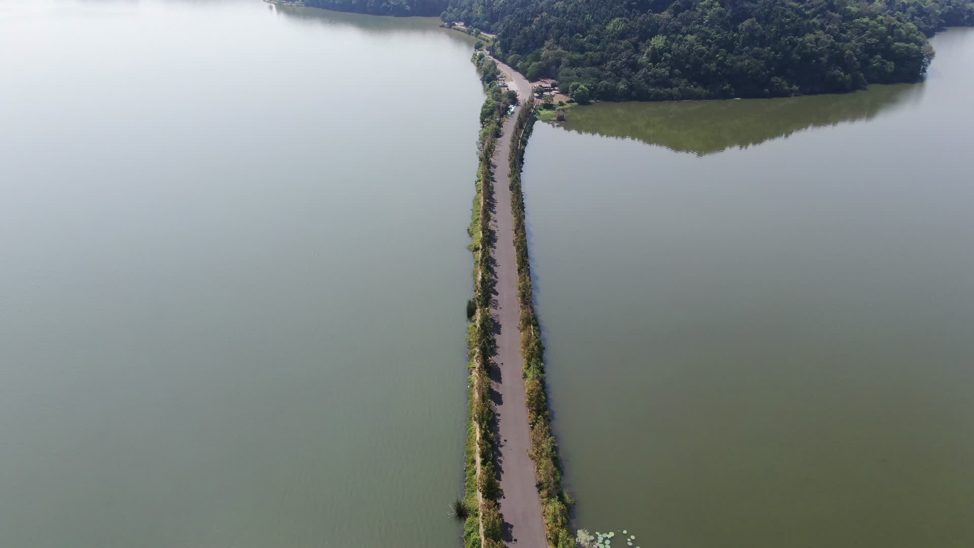 航拍湖北武汉东湖公园景区郊野道视频的预览图