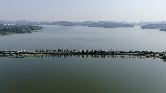 航拍湖北武汉东湖公园景区郊野道视频的预览图