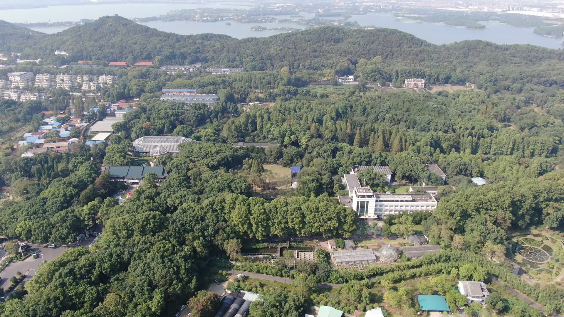 航拍湖北武汉东湖景区武汉植物园视频的预览图
