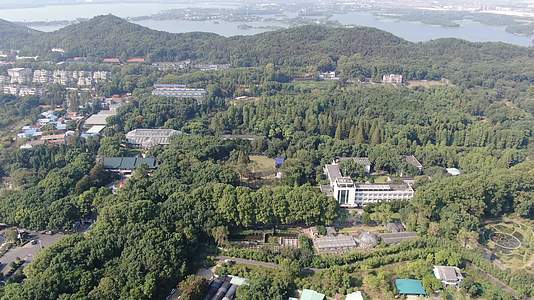 航拍湖北武汉东湖景区武汉植物园视频的预览图