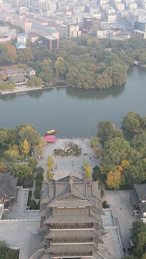 山东济南大明湖5A景区秋天景色竖屏航拍视频的预览图