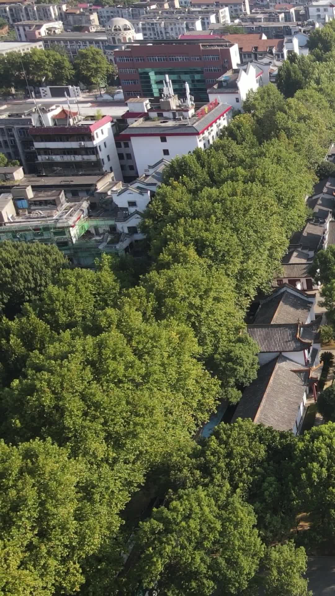 湖南岳阳岳阳楼景区竖屏航拍视频的预览图