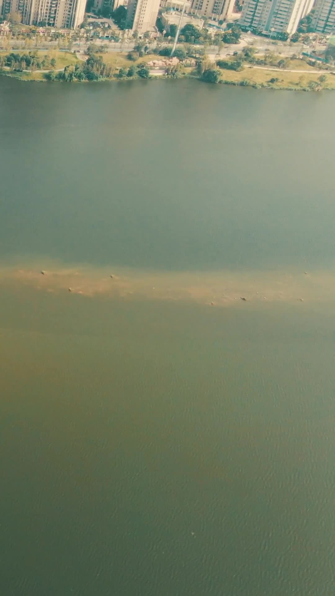 湖南岳阳东湖公园竖屏航拍视频的预览图