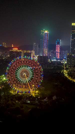 竖屏延时航拍南宁凤岭儿童公园夜景视频的预览图