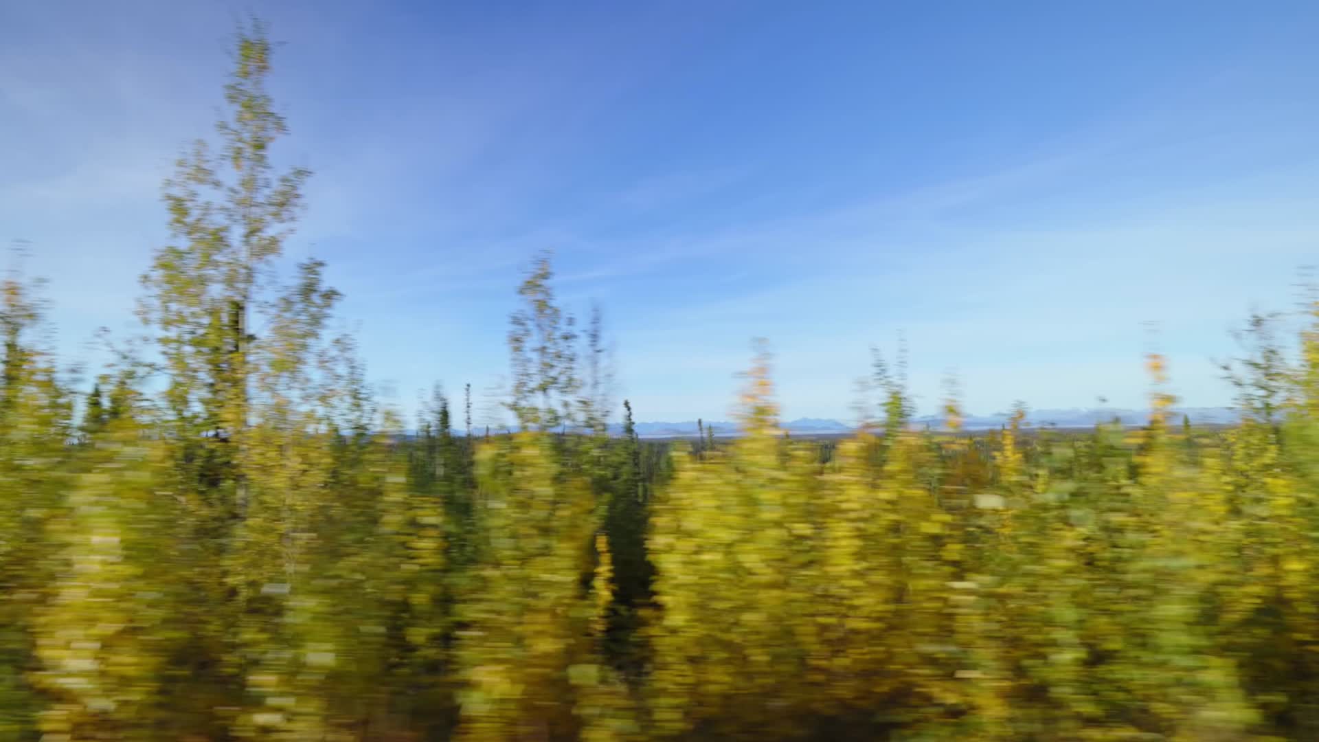 自驾旅行车窗外景色视频的预览图