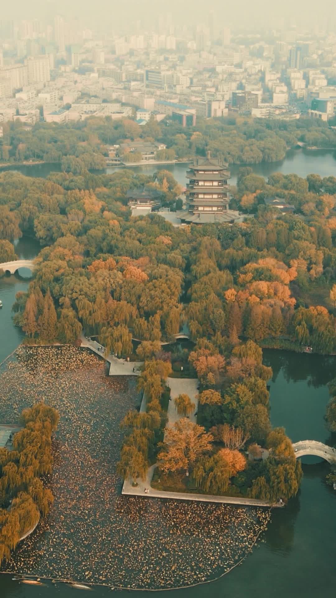 山东济南大明湖5A景区全景航拍视频的预览图