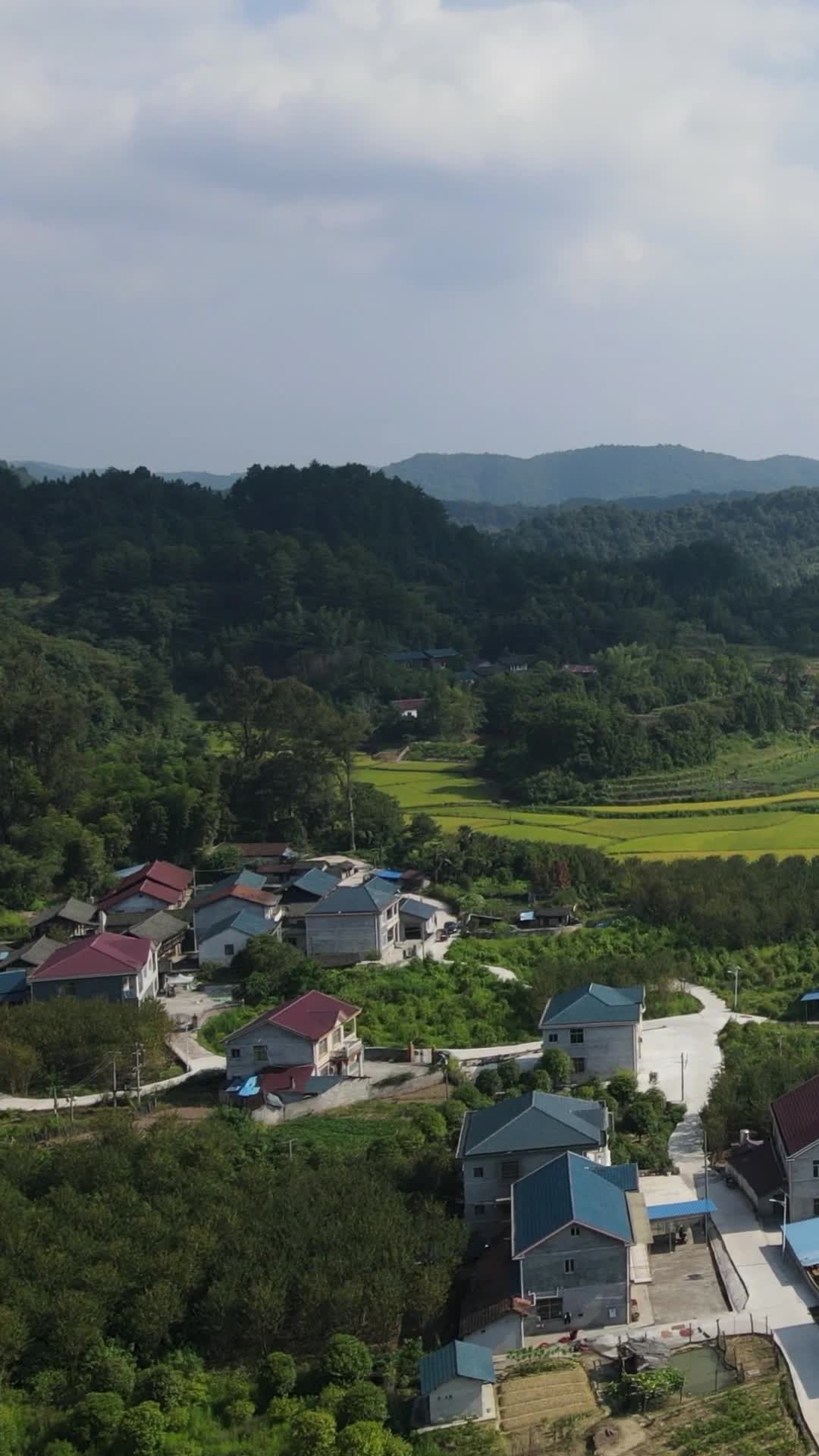 航拍美丽乡村田园农业种植稻田视频的预览图