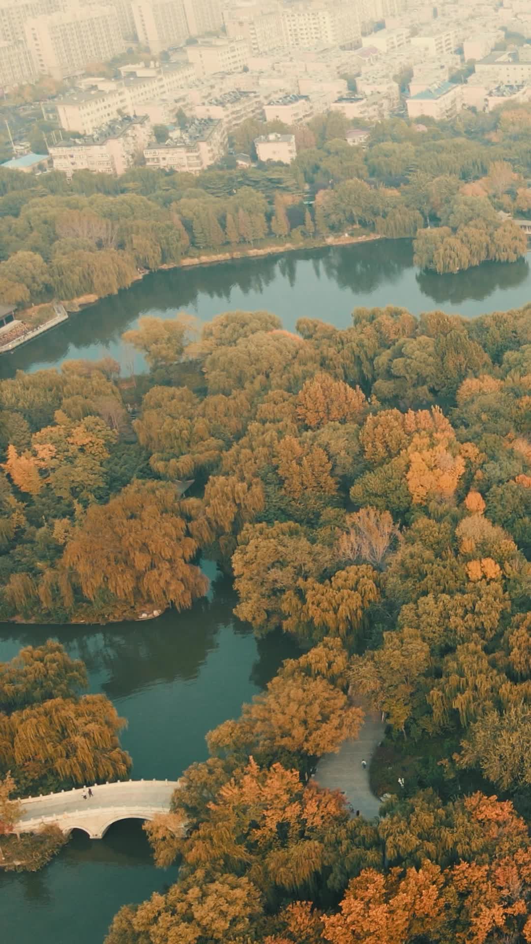 航拍山东济南城市秋天风光大明湖竖屏视频的预览图