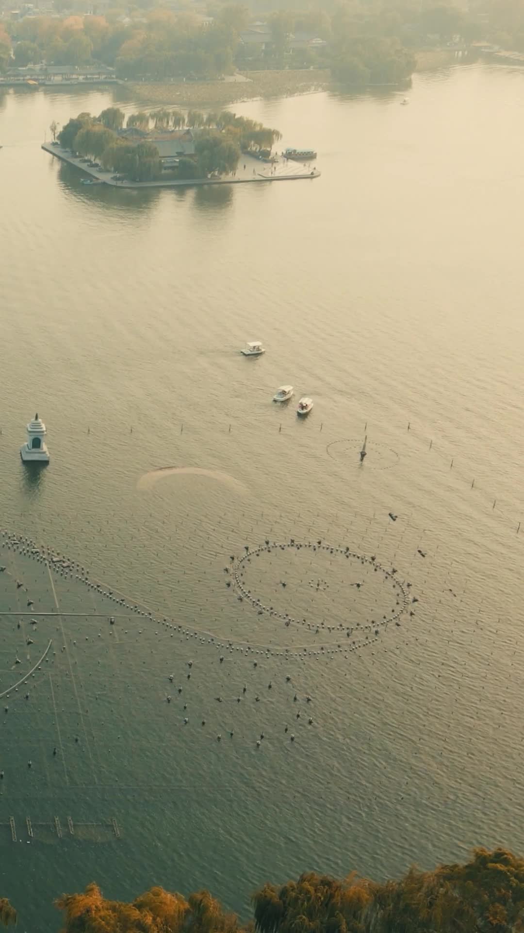 航拍大明湖湖面船只游船竖屏视频的预览图