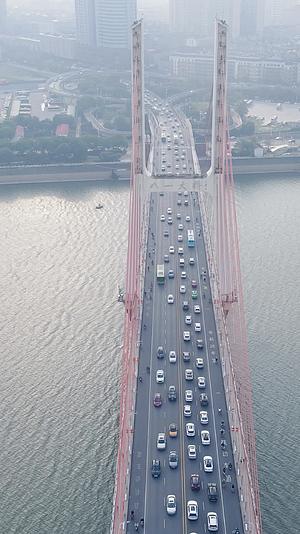 江西南昌八一大桥竖屏航拍视频的预览图