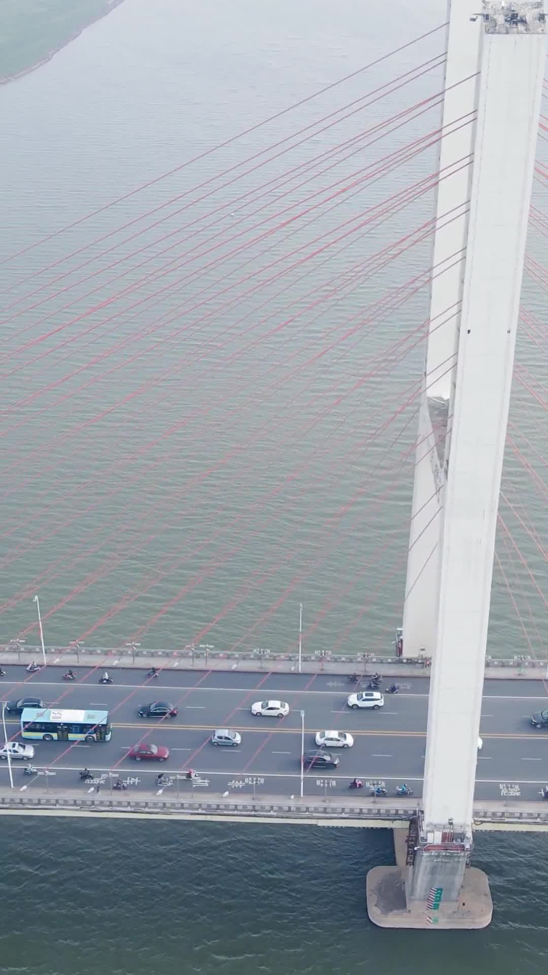 江西南昌八一大桥竖屏航拍视频的预览图