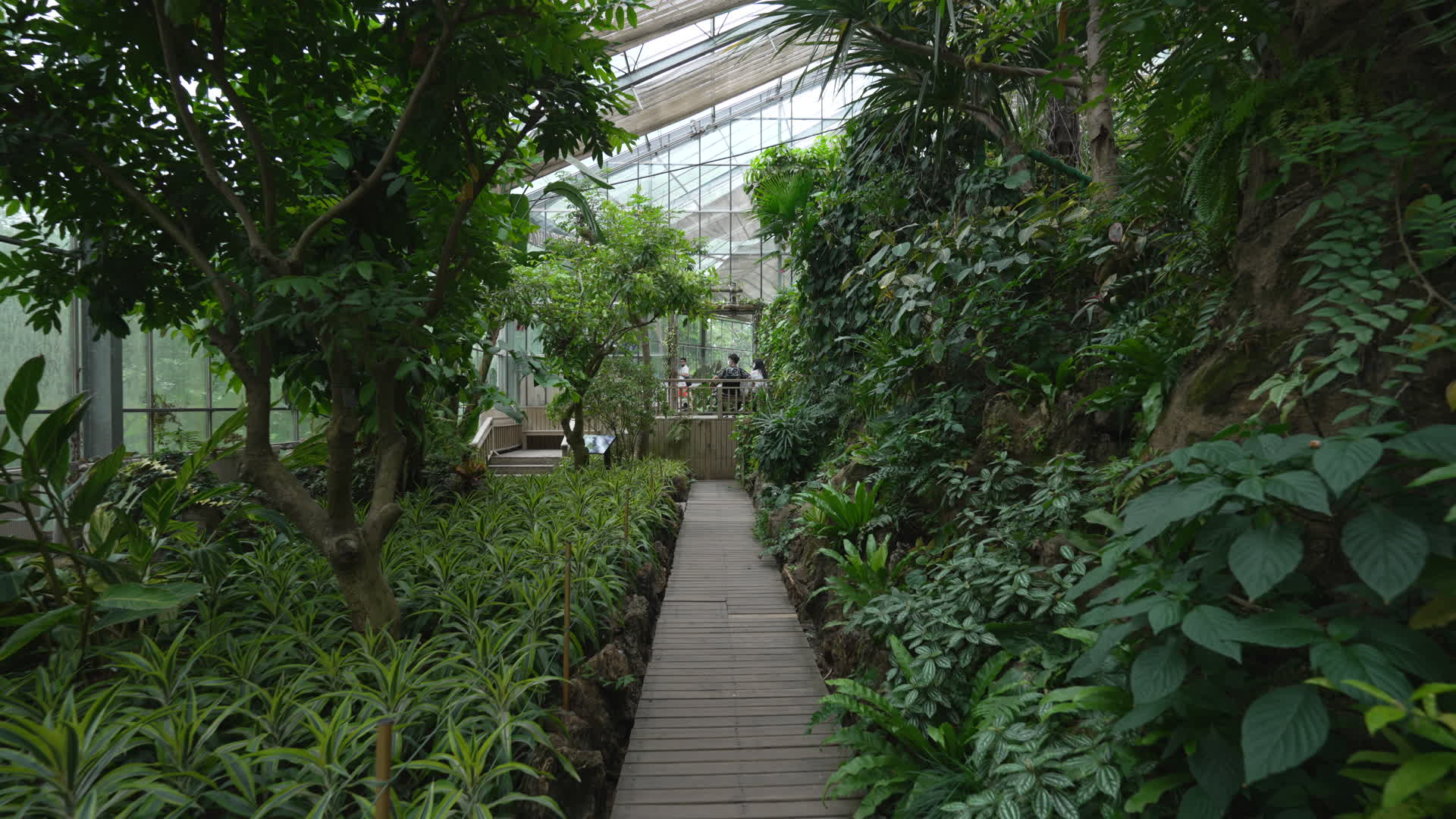 武汉洪山中国科学院武汉植物园视频的预览图