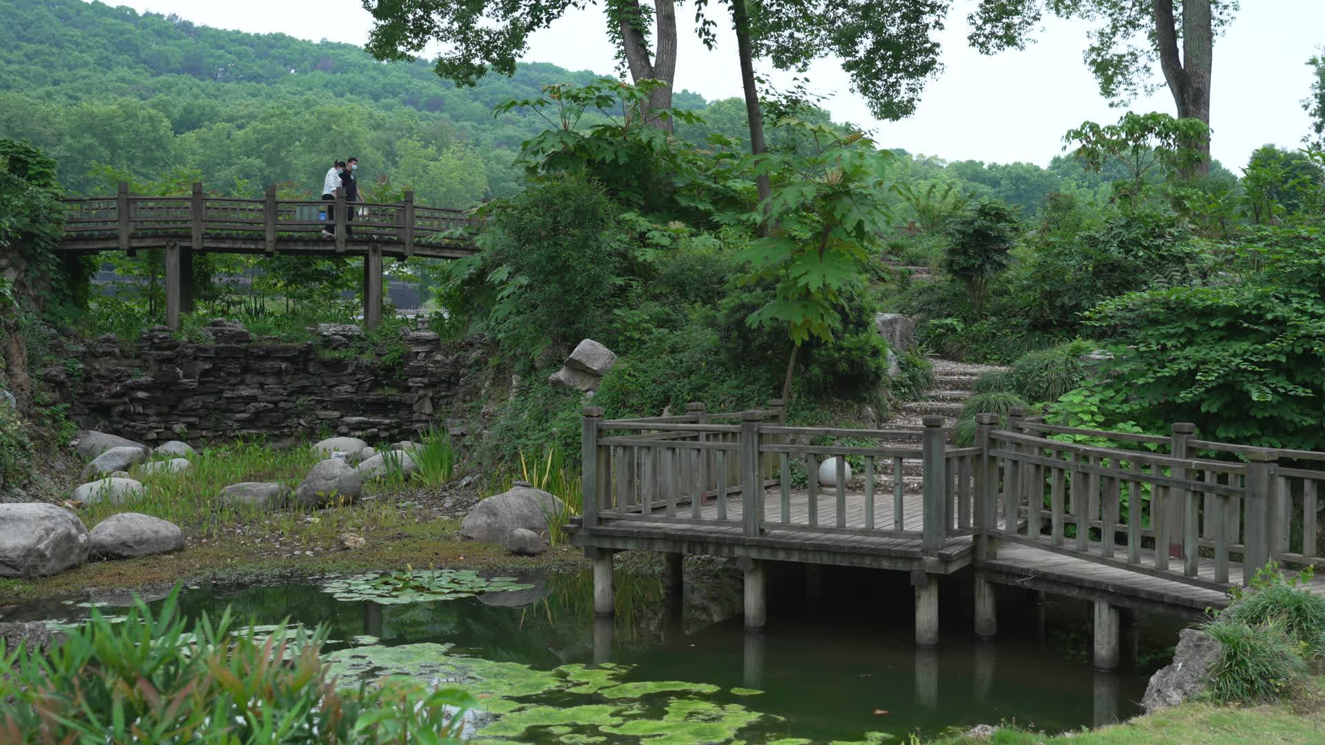 武汉洪山中国科学院武汉植物园视频的预览图