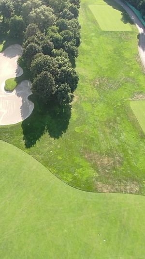 高尔夫球场草坪竖屏航拍视频的预览图