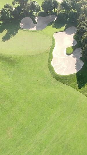 高尔夫球场草坪竖屏航拍视频的预览图