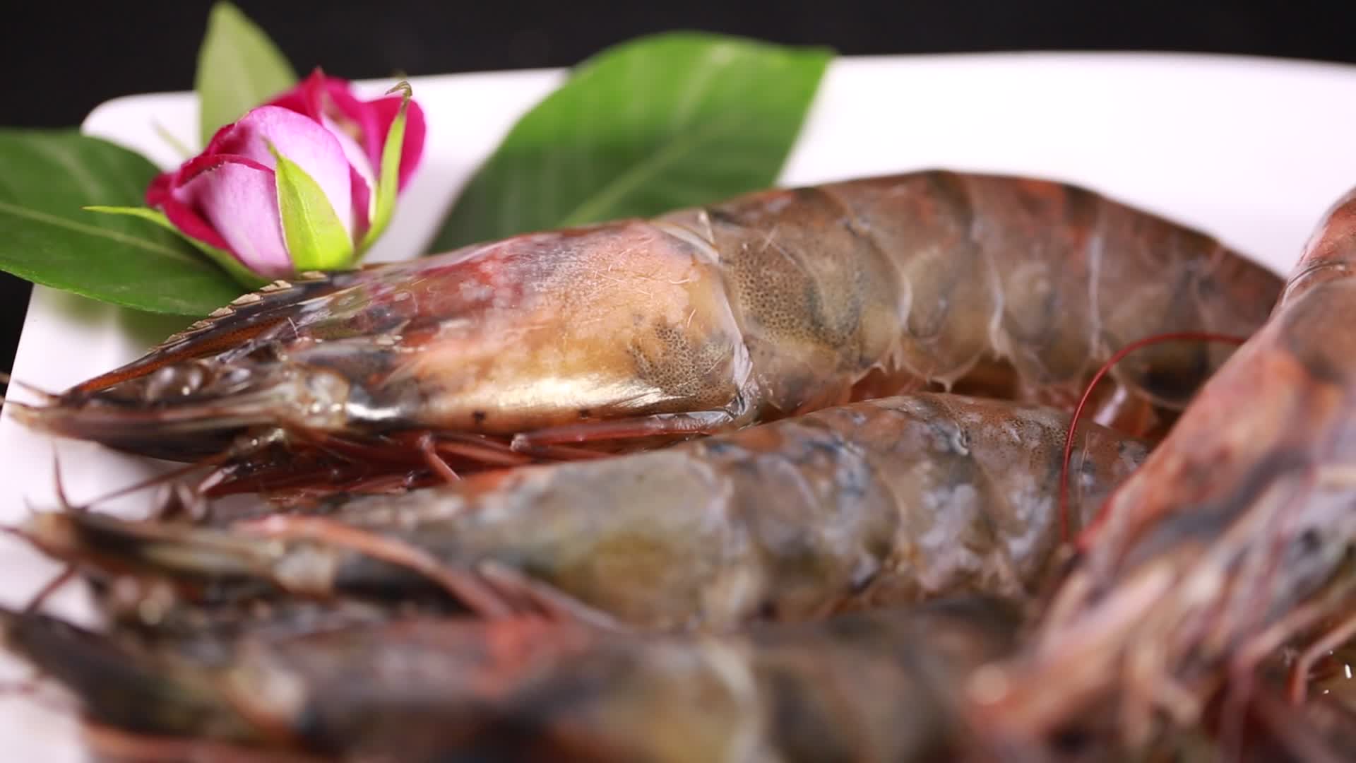 黑虎虾对虾海虾视频的预览图