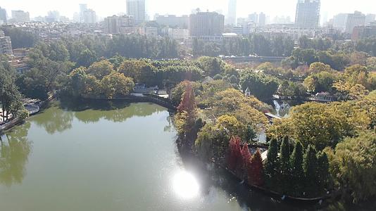 航拍广西南宁城市绿化公园视频的预览图