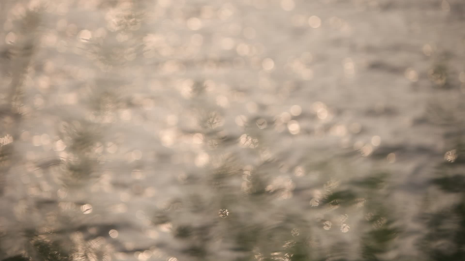 黄昏夕阳照射黄浦江水面波光粼粼视频的预览图