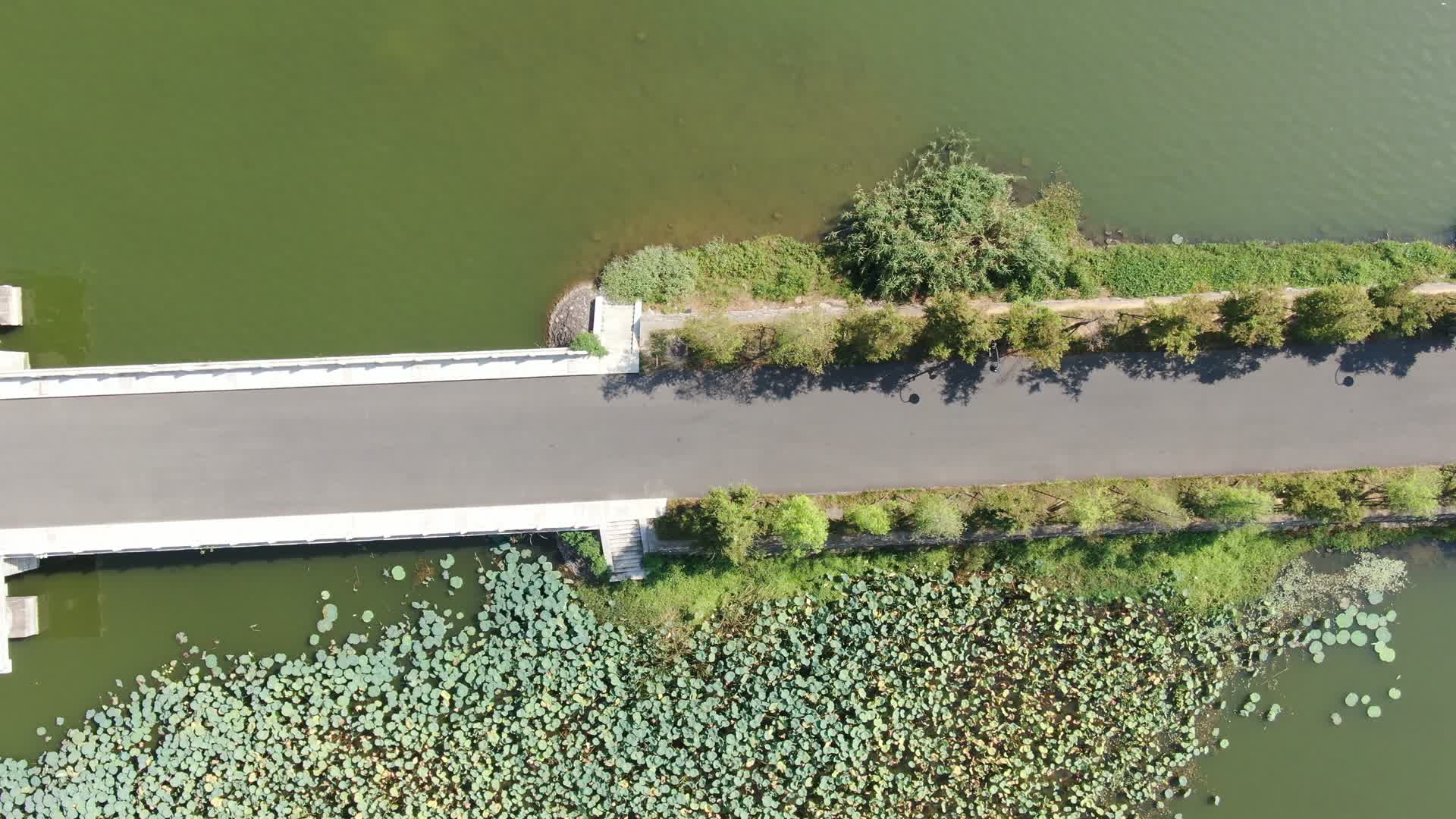 航拍湖北武汉东湖景区郊野道清河桥视频的预览图