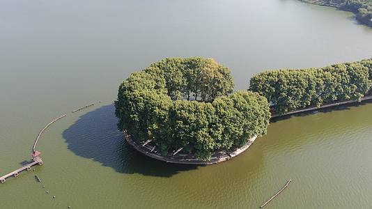 航拍湖北武汉东湖景区步道视频的预览图