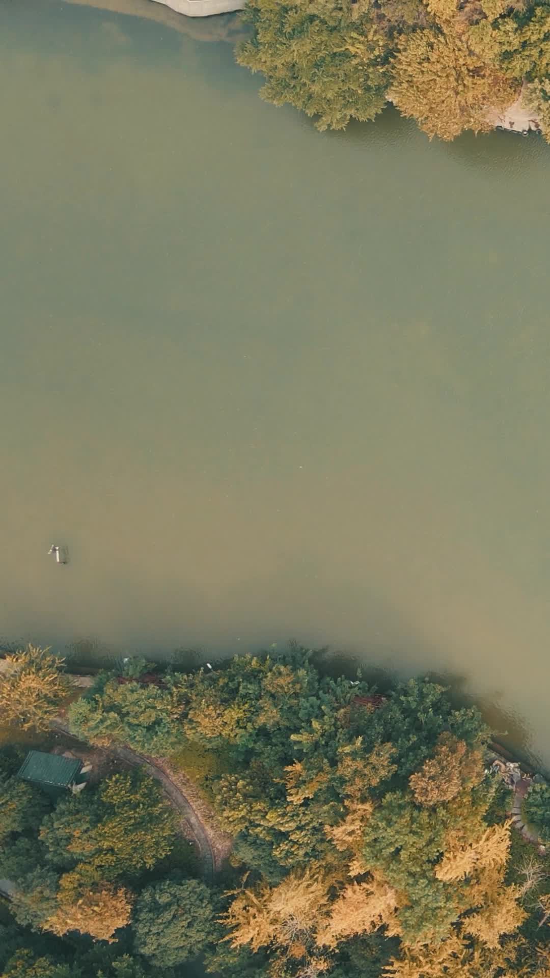 航拍广西漓江风光竖屏视频的预览图