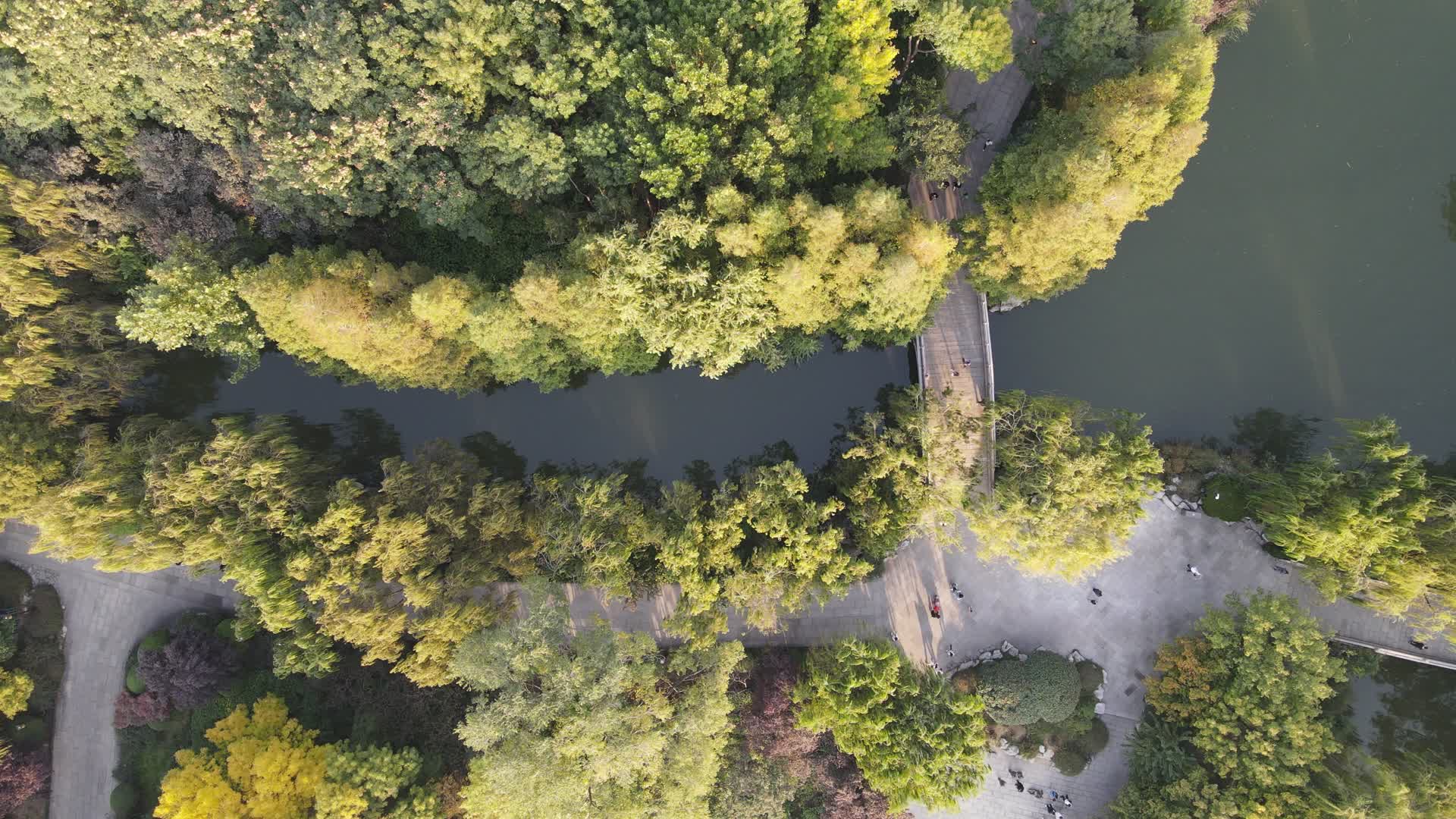 航拍公园小桥流水视频的预览图