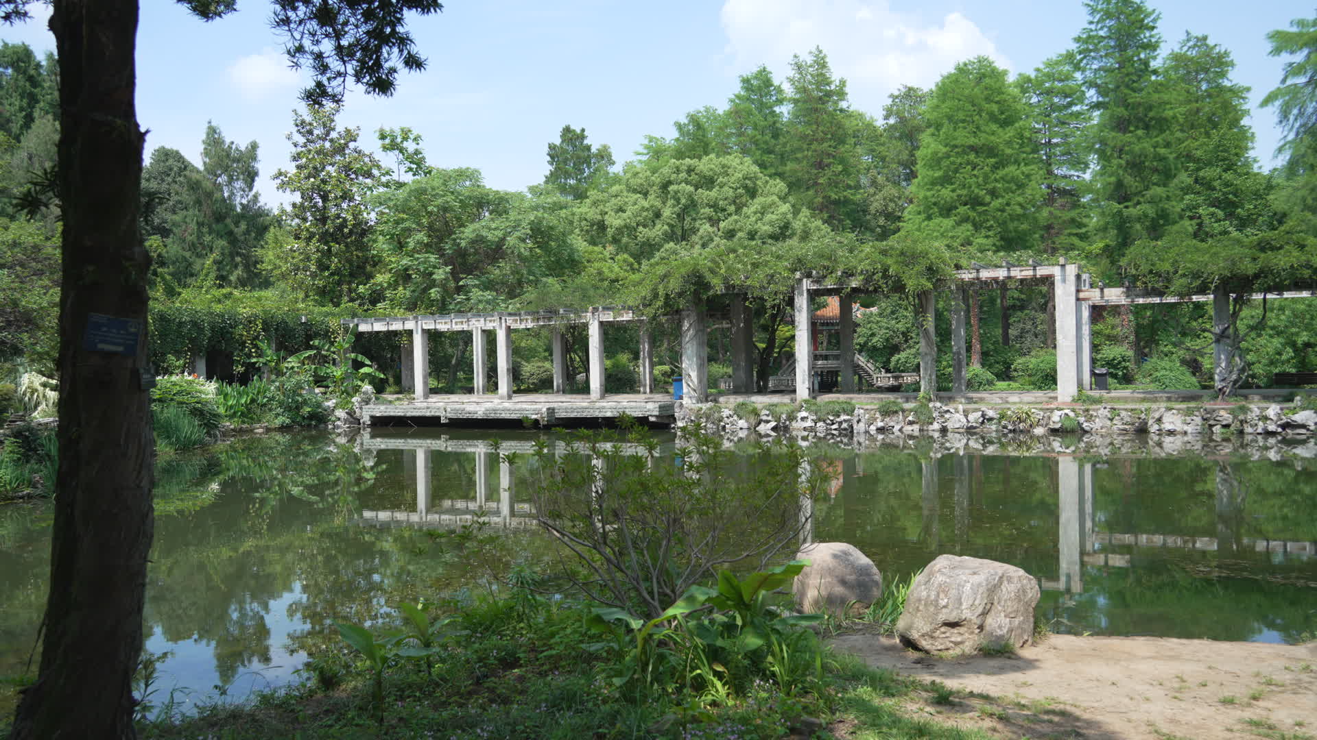 中国科学院武汉植物园视频的预览图