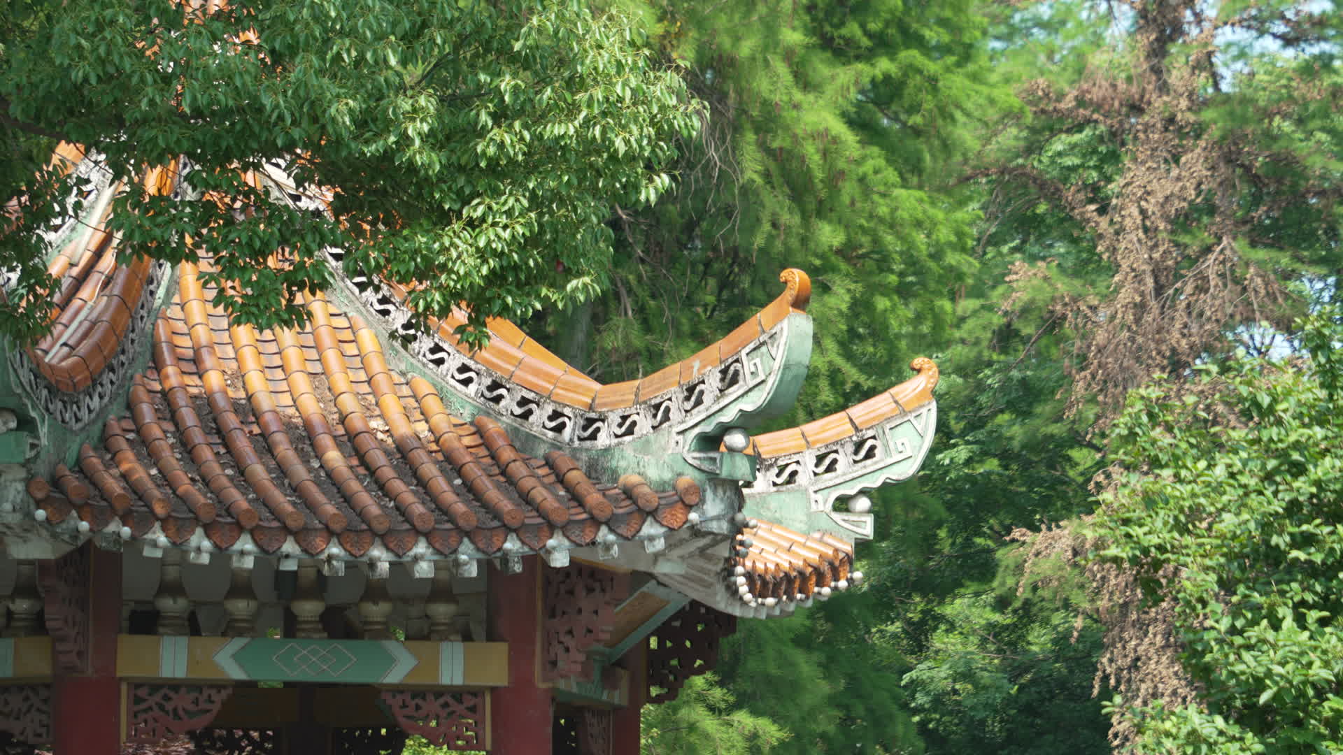 中国科学院武汉植物园视频的预览图