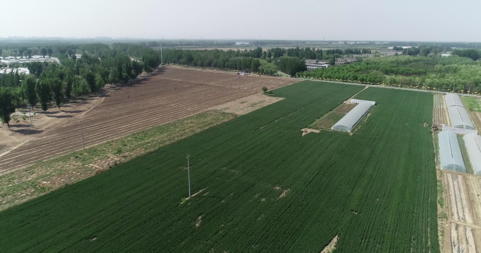北京昌平航拍小麦视频的预览图