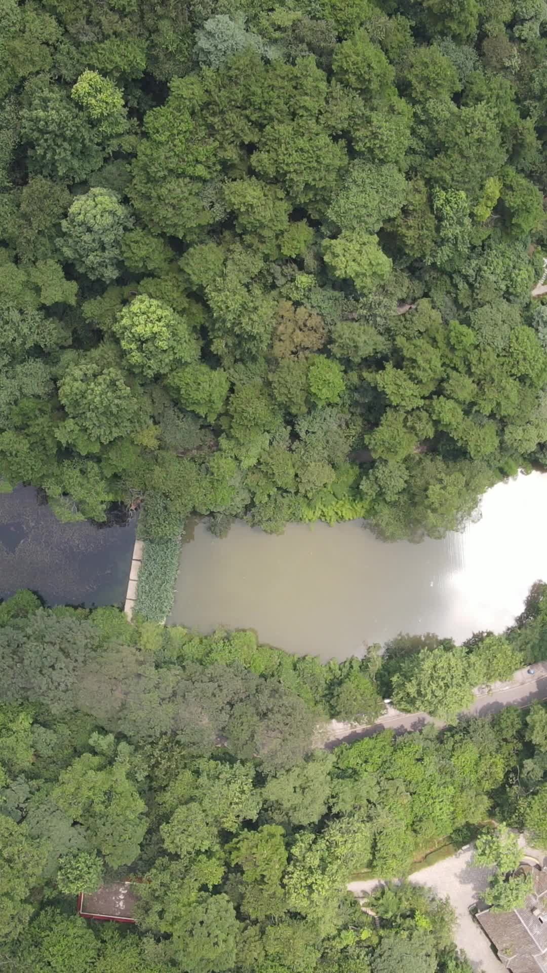 俯拍山谷河流竖屏视频的预览图