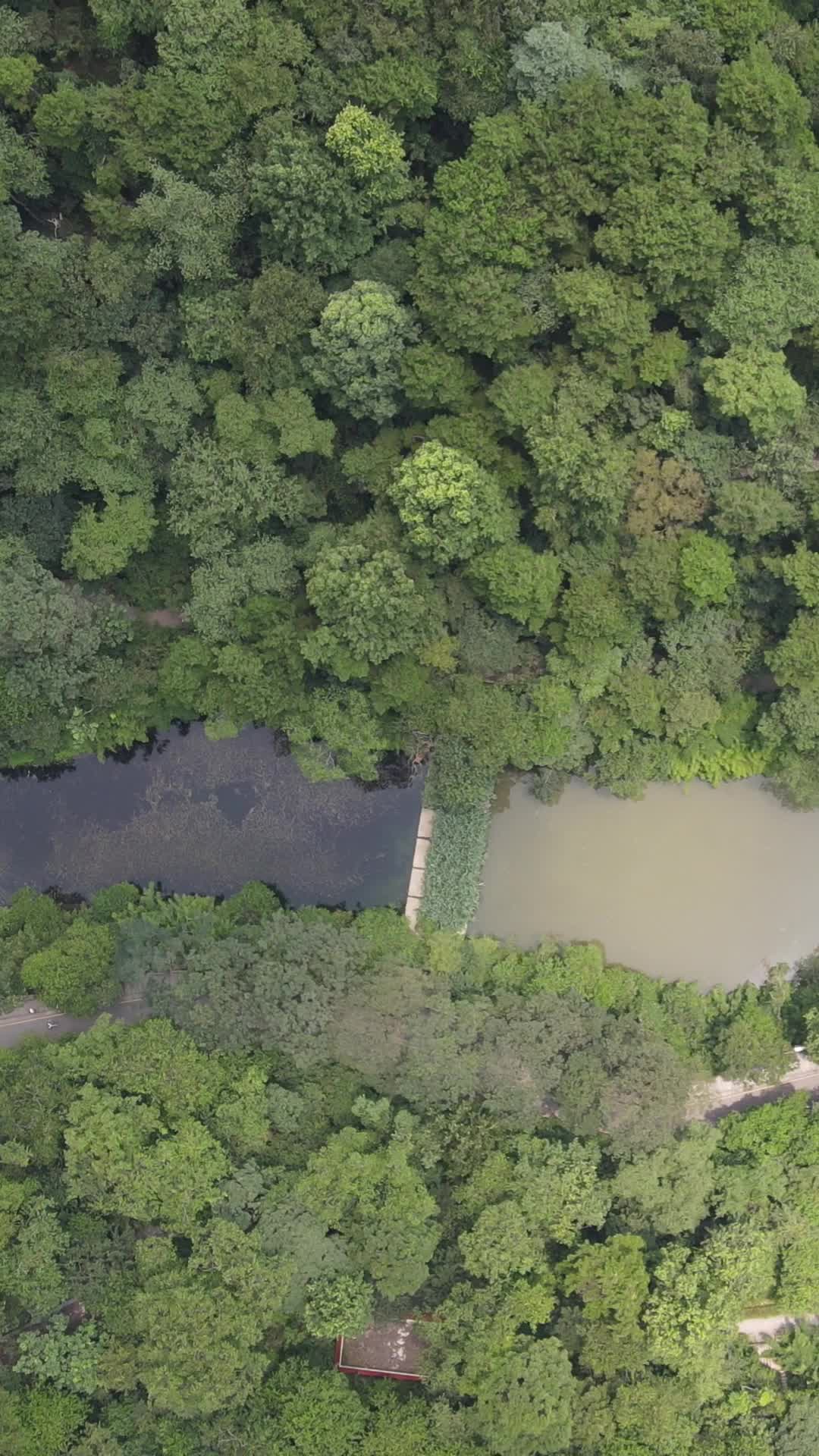 俯拍山谷河流竖屏视频的预览图