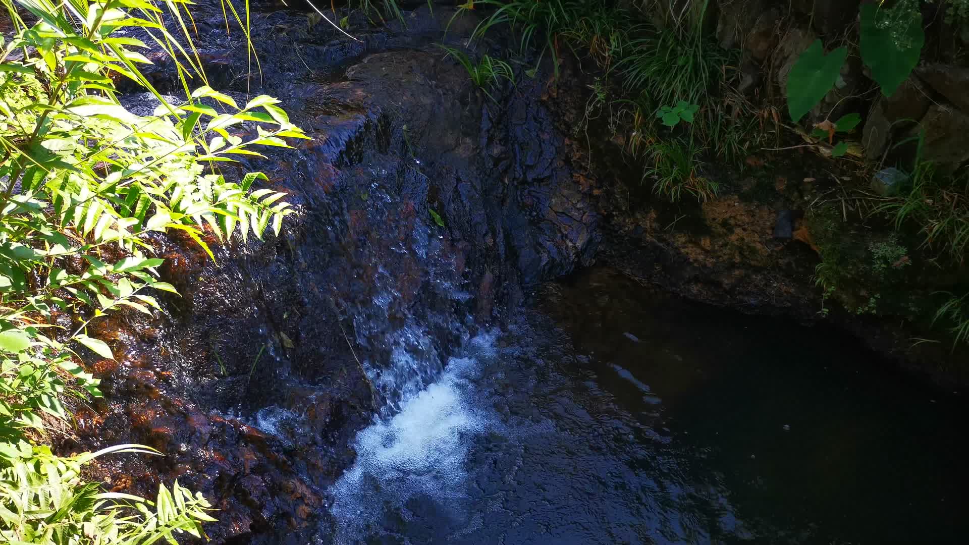 实拍大自然山间溪流视频的预览图