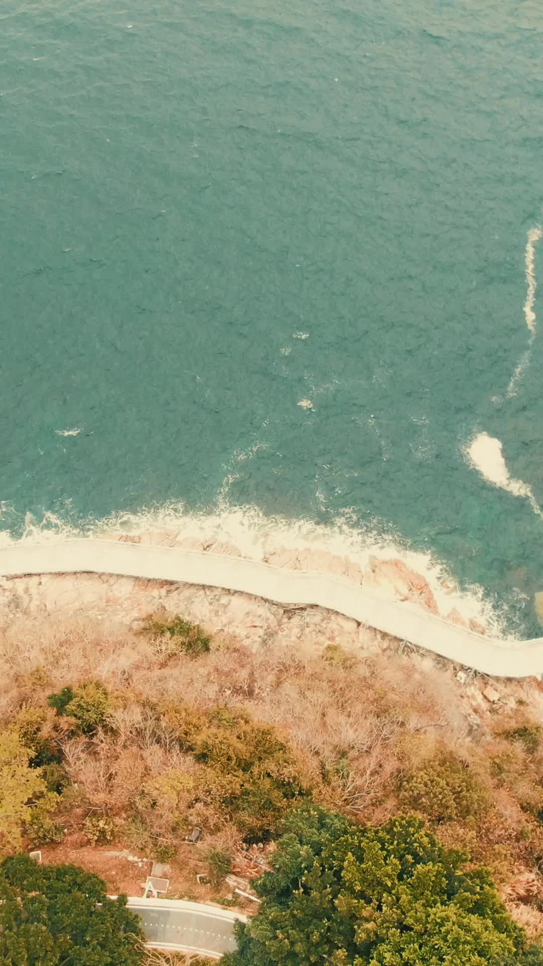 大海海浪沙滩礁石竖屏航拍视频的预览图