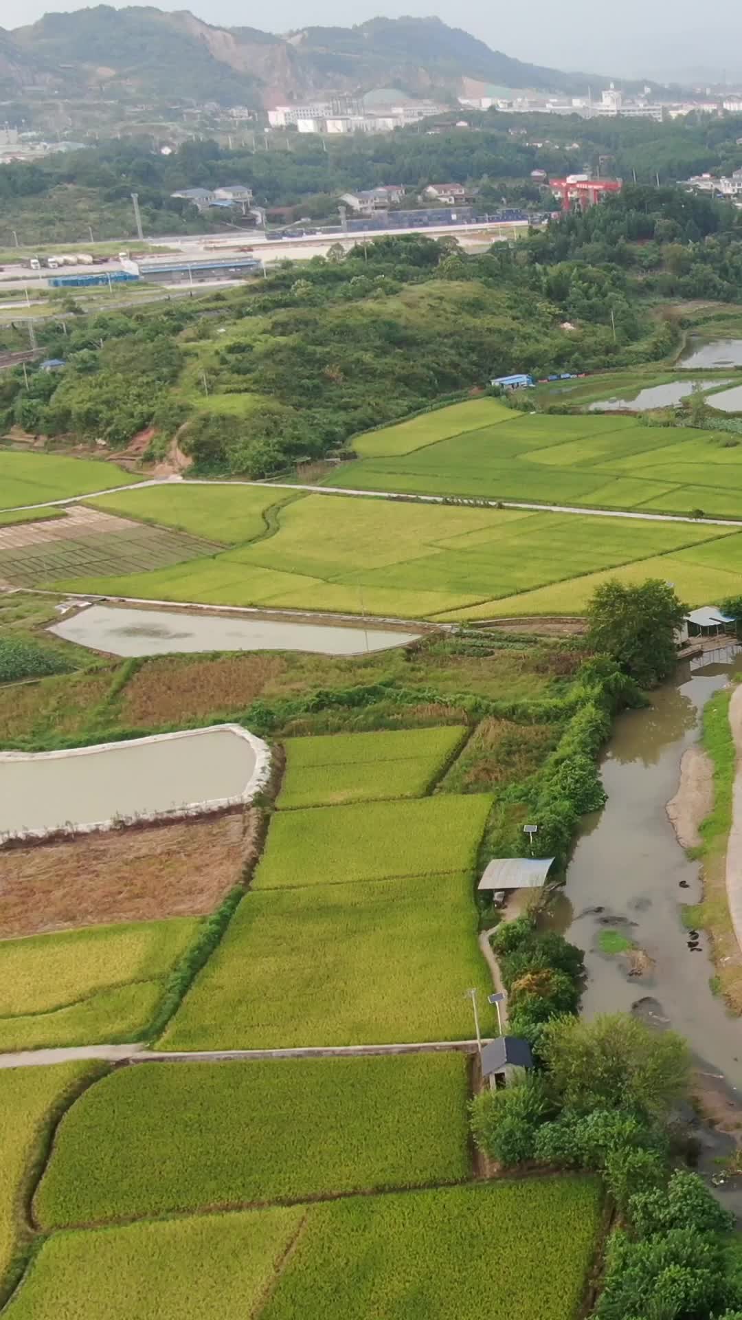 美丽乡村农田农业种植竖屏航拍视频的预览图