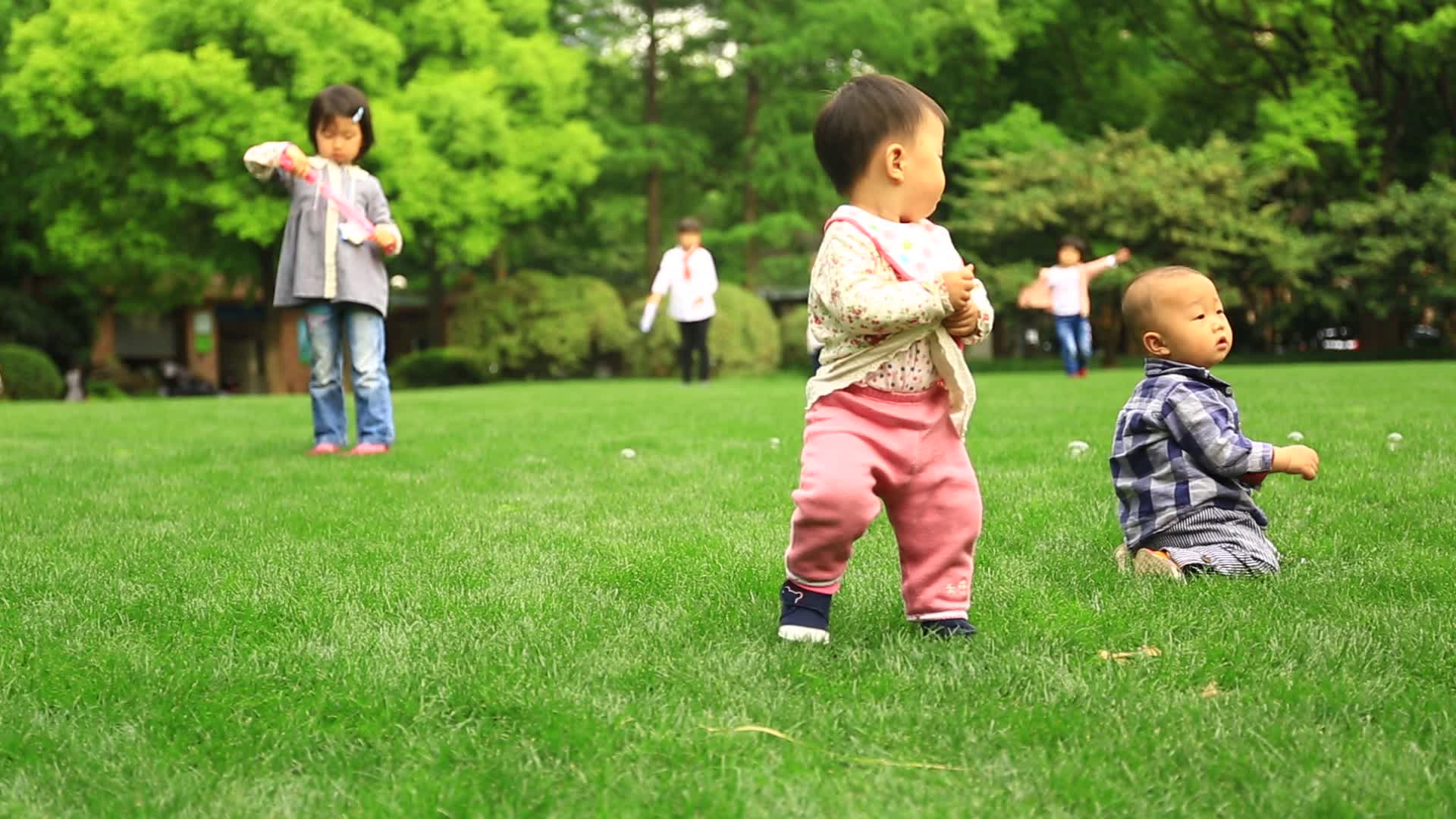 公园草坪儿童玩耍追泡泡1视频的预览图
