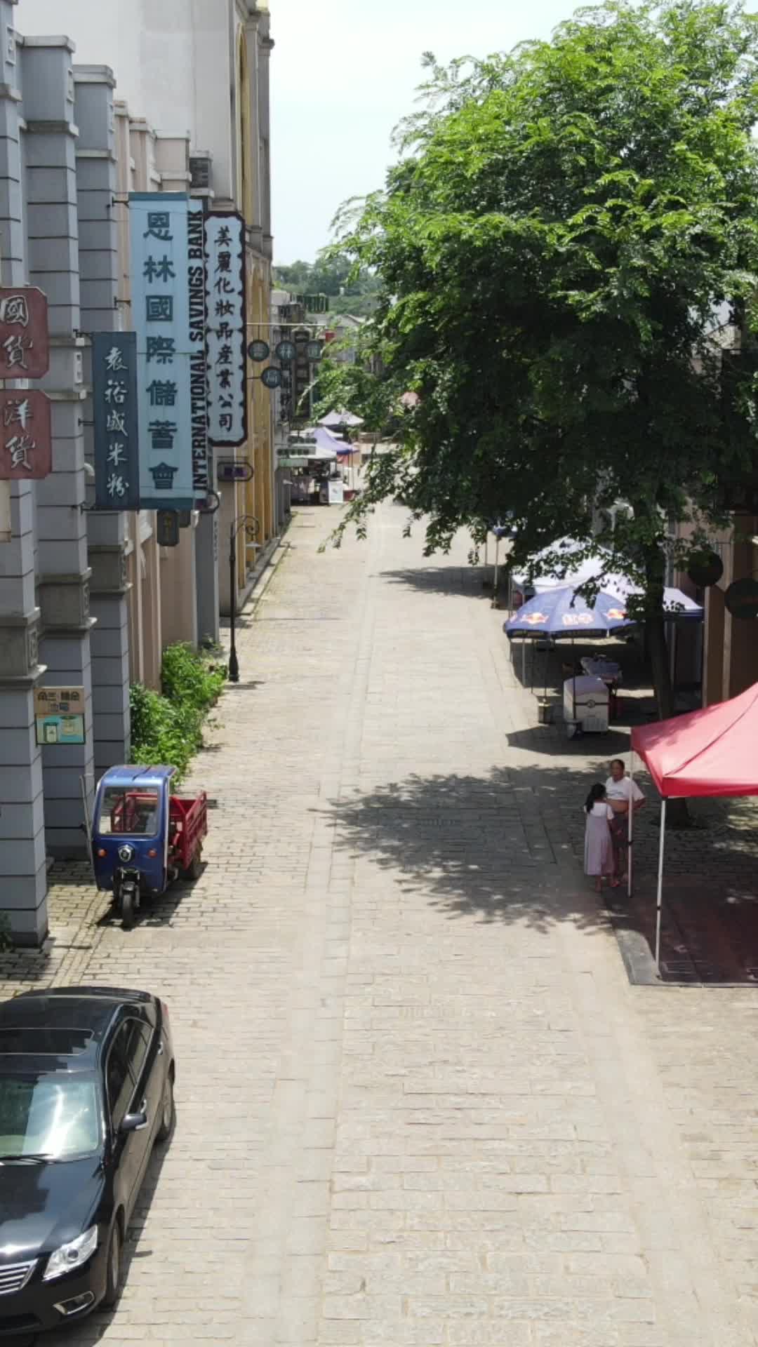 湖南长沙道林古镇竖屏航拍视频的预览图
