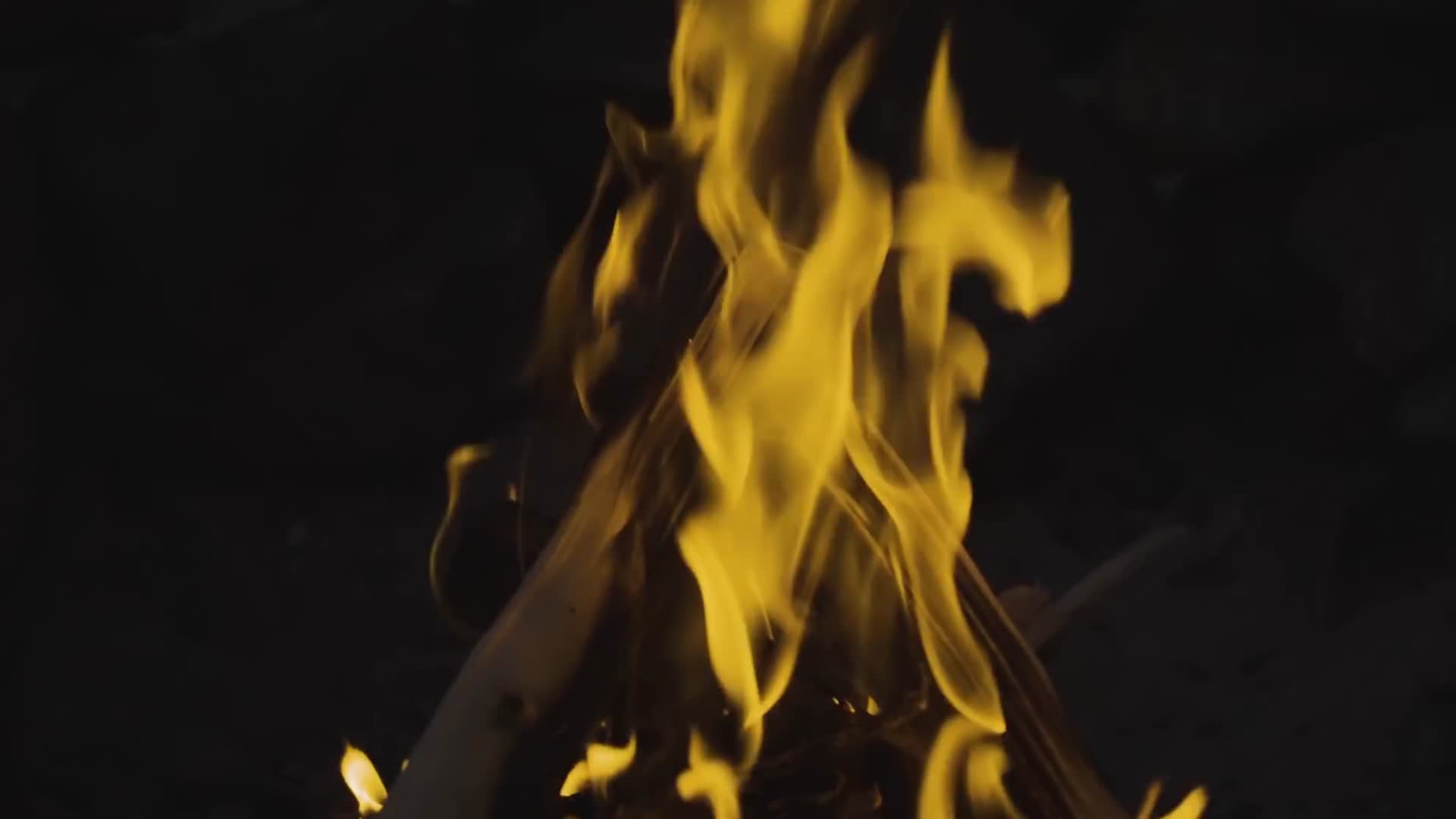 户外露营篝火视频的预览图