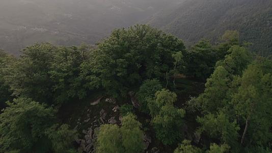 保护区山谷森林航拍视频的预览图