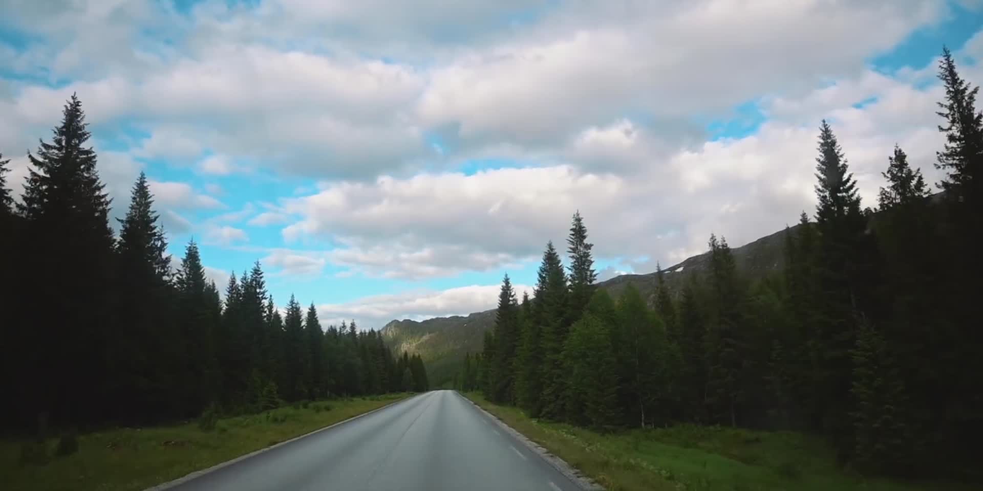 汽车在森林山路上行驶视频的预览图