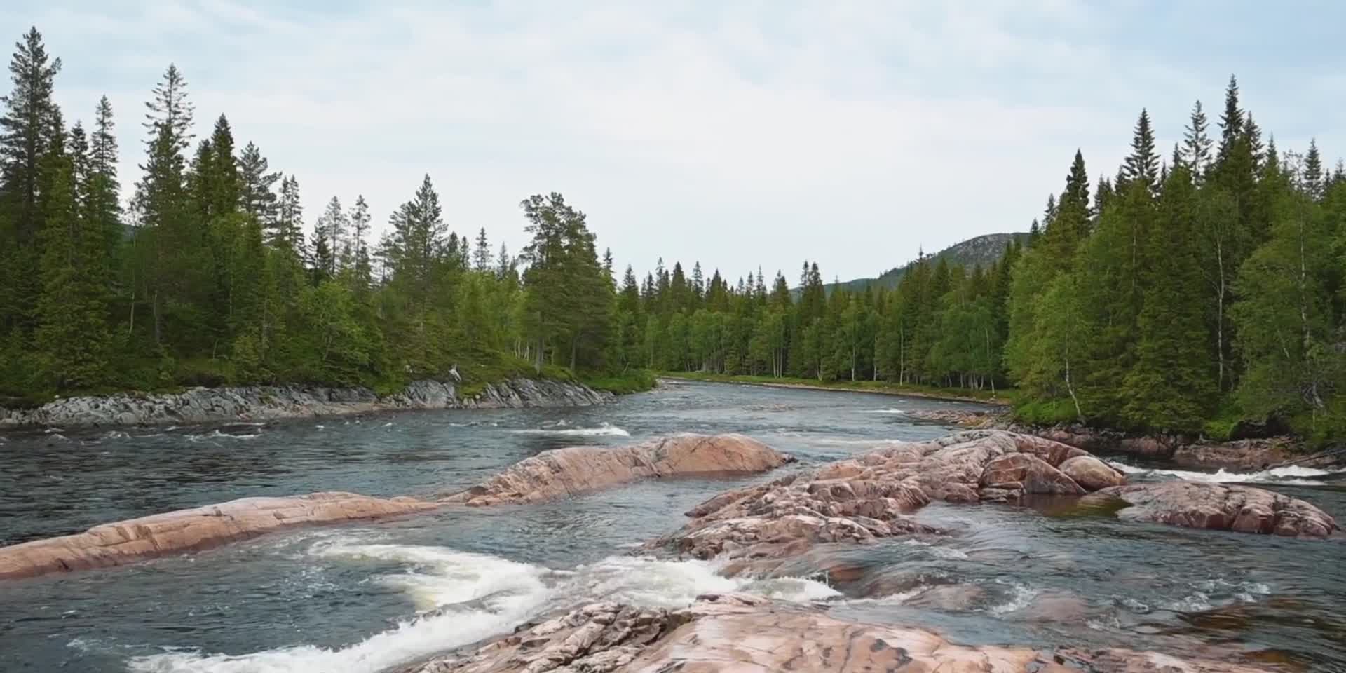 夏季山谷森林河流视频的预览图