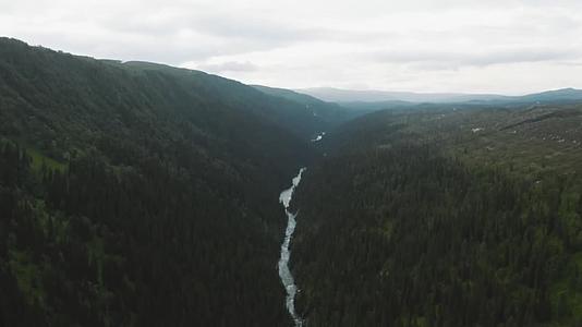 森林山谷溪水瀑布视频的预览图