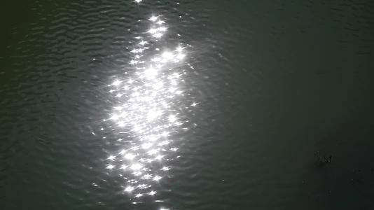 自然风光湖面波光视频的预览图