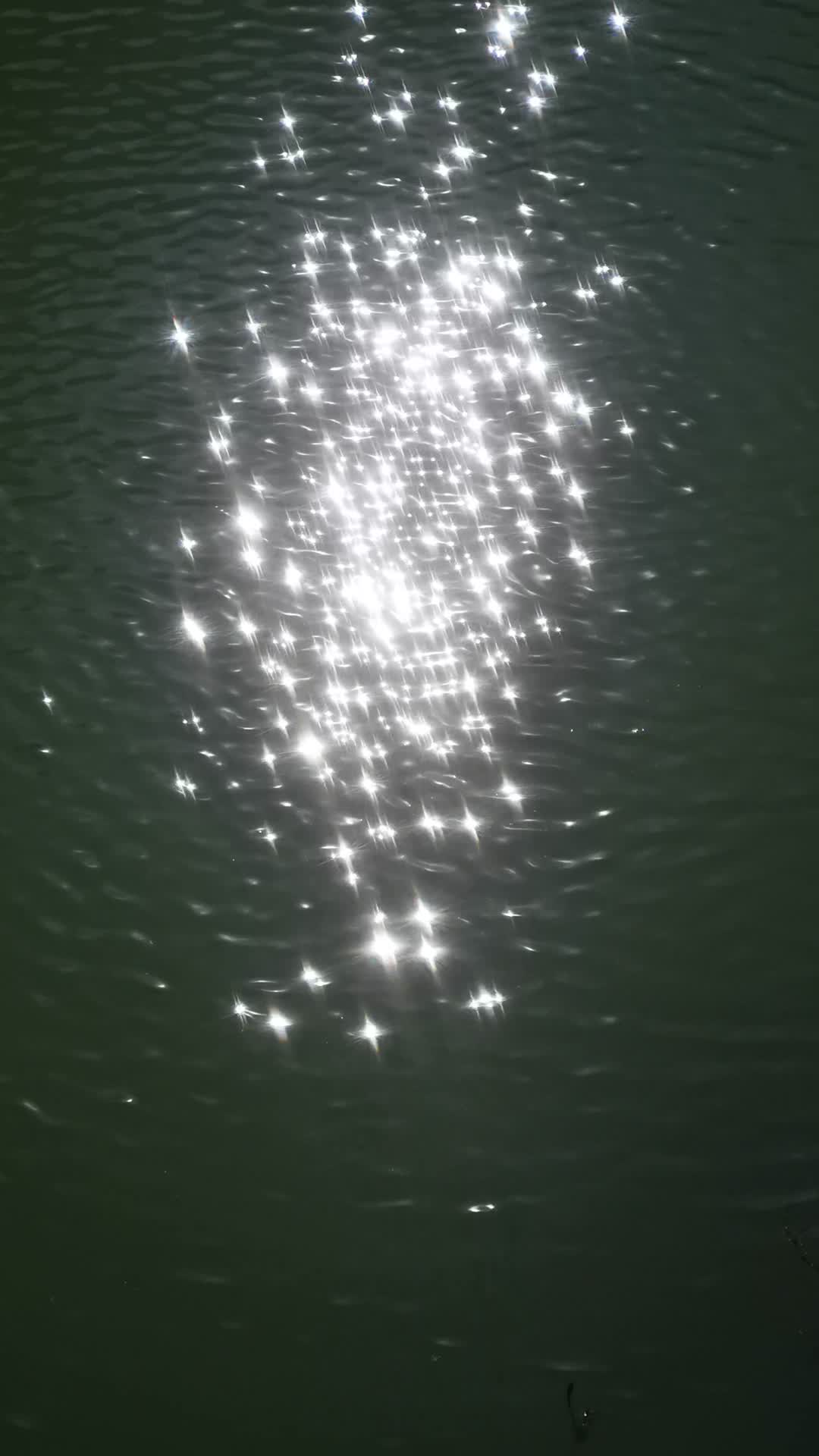 自然风光湖面波光视频的预览图