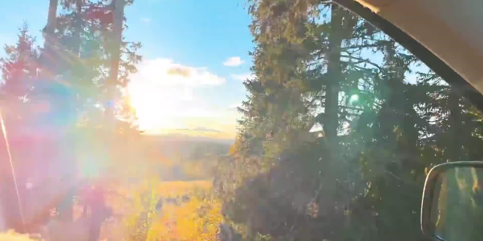 傍晚森林自驾窗外夕阳视频的预览图