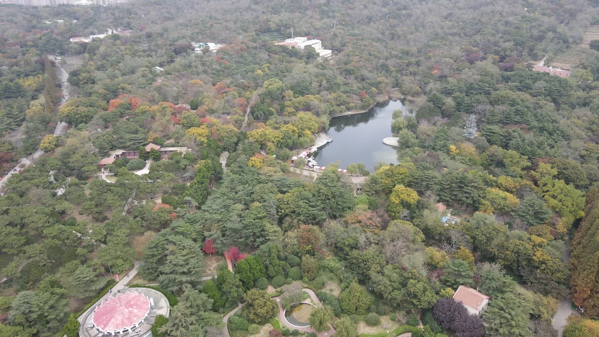 航拍山东青岛中山公园视频的预览图