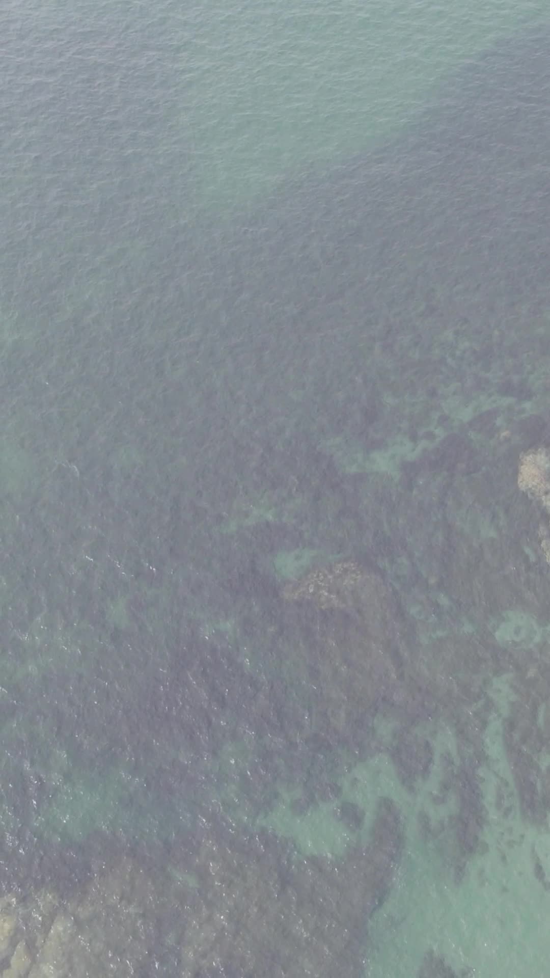 自然风光蓝色海洋竖屏航拍视频的预览图