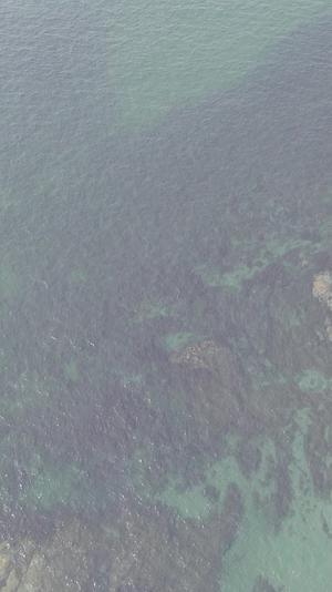 自然风光蓝色海洋竖屏航拍视频的预览图