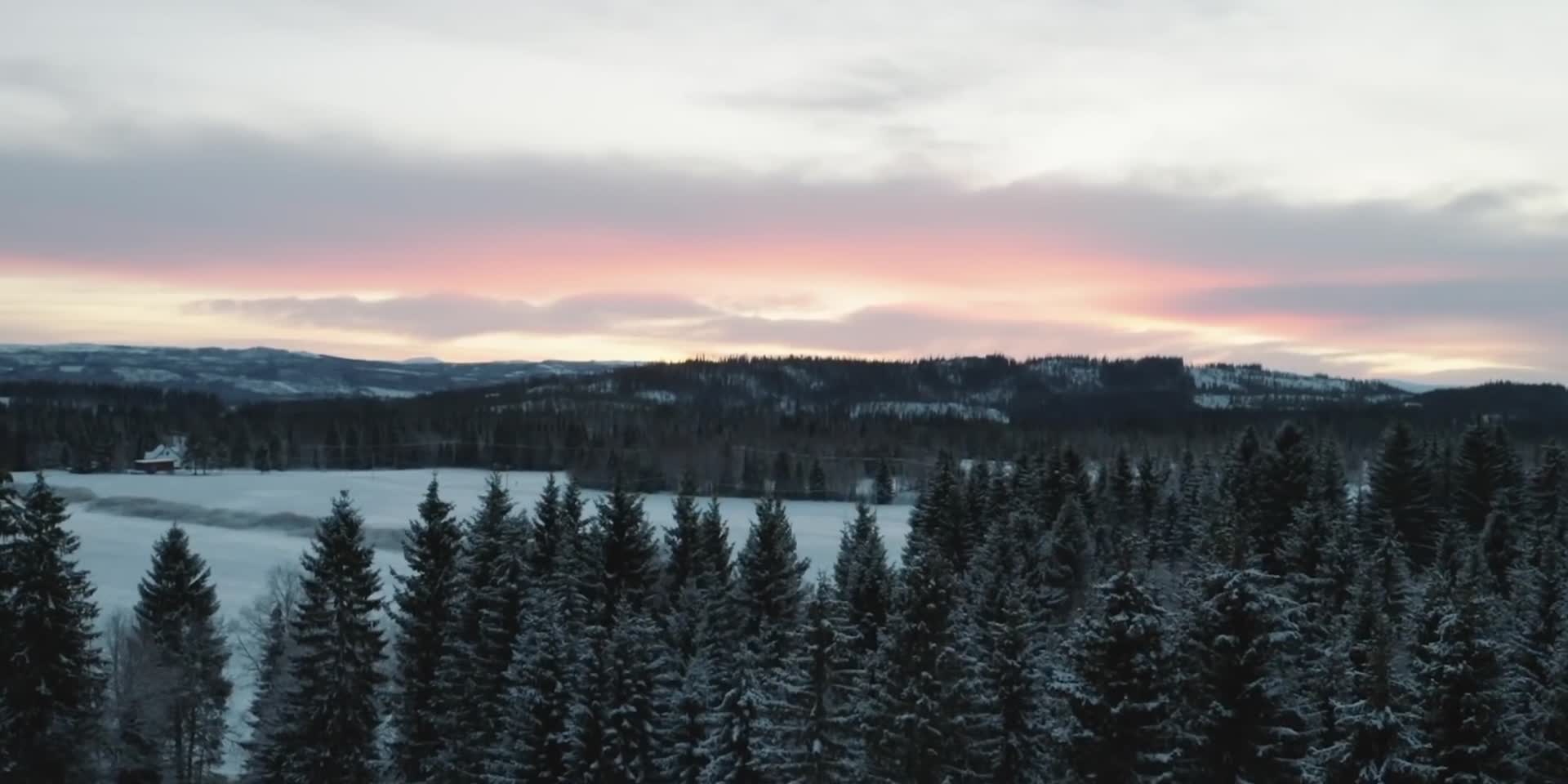 冬季傍晚雪原森林航拍视频的预览图