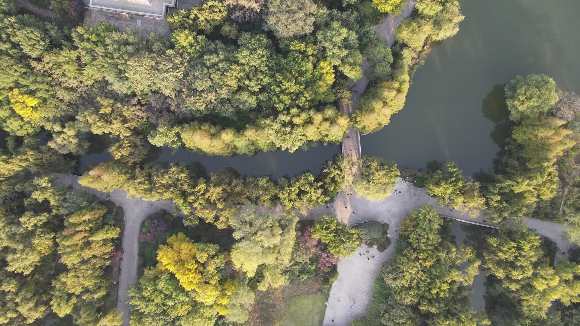 航拍园林公园小桥流水视频的预览图