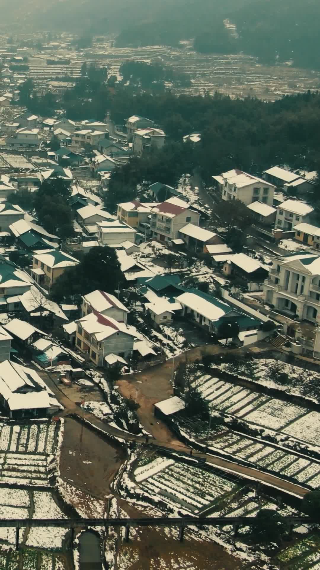 美丽乡村田园冬天雪景竖屏航拍视频的预览图